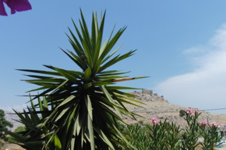 Castle View Apartments Haraki - Rhodos - Greece ,,..