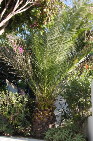 Castle View Apartments Haraki - Rhodos - Greece ,,,,